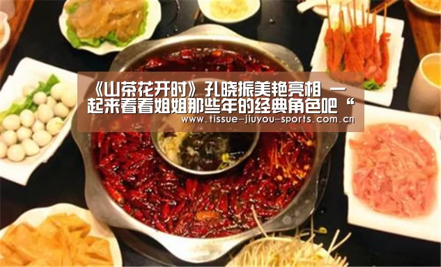 《山茶花开时》孔晓振美艳亮相 一起来看看姐姐那些年的经典角色吧“九游体育”(图3) 九游体育