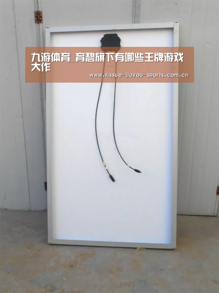 九游体育_育碧旗下有哪些王牌游戏大作(图2) 九游体育