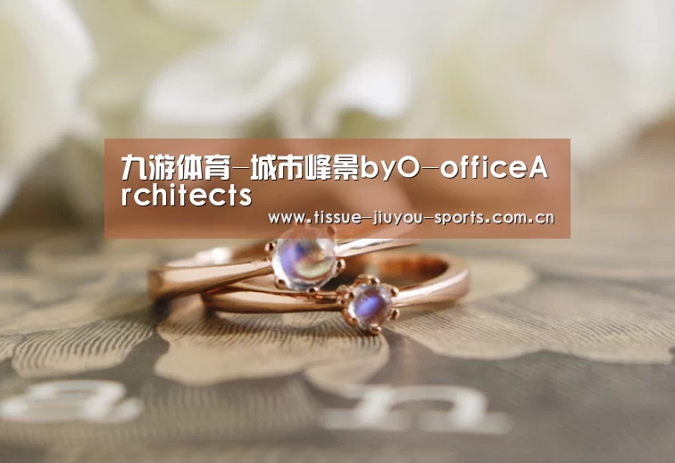 九游体育-城市峰景byO-officeArchitects(图2) 九游体育