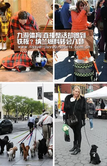 九游体育|直播整活却踢到铁板?纳兰爆料转会八卦被打脸(图3) 九游体育