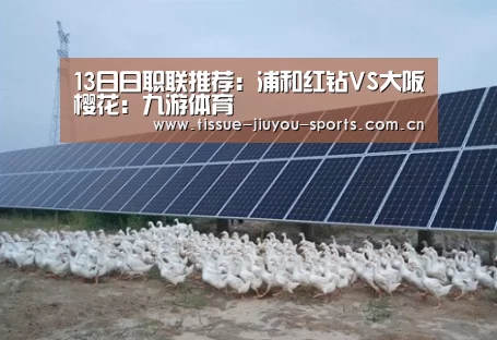 13日日职联推荐:浦和红钻VS大阪樱花:九游体育(图1) 九游体育