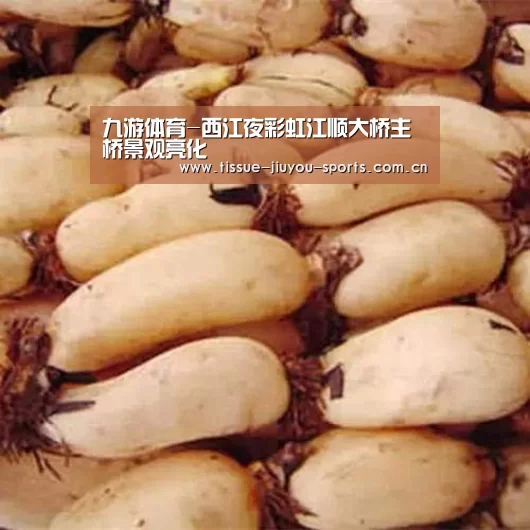 九游体育-西江夜彩虹江顺大桥主桥景观亮化(图1) 九游体育