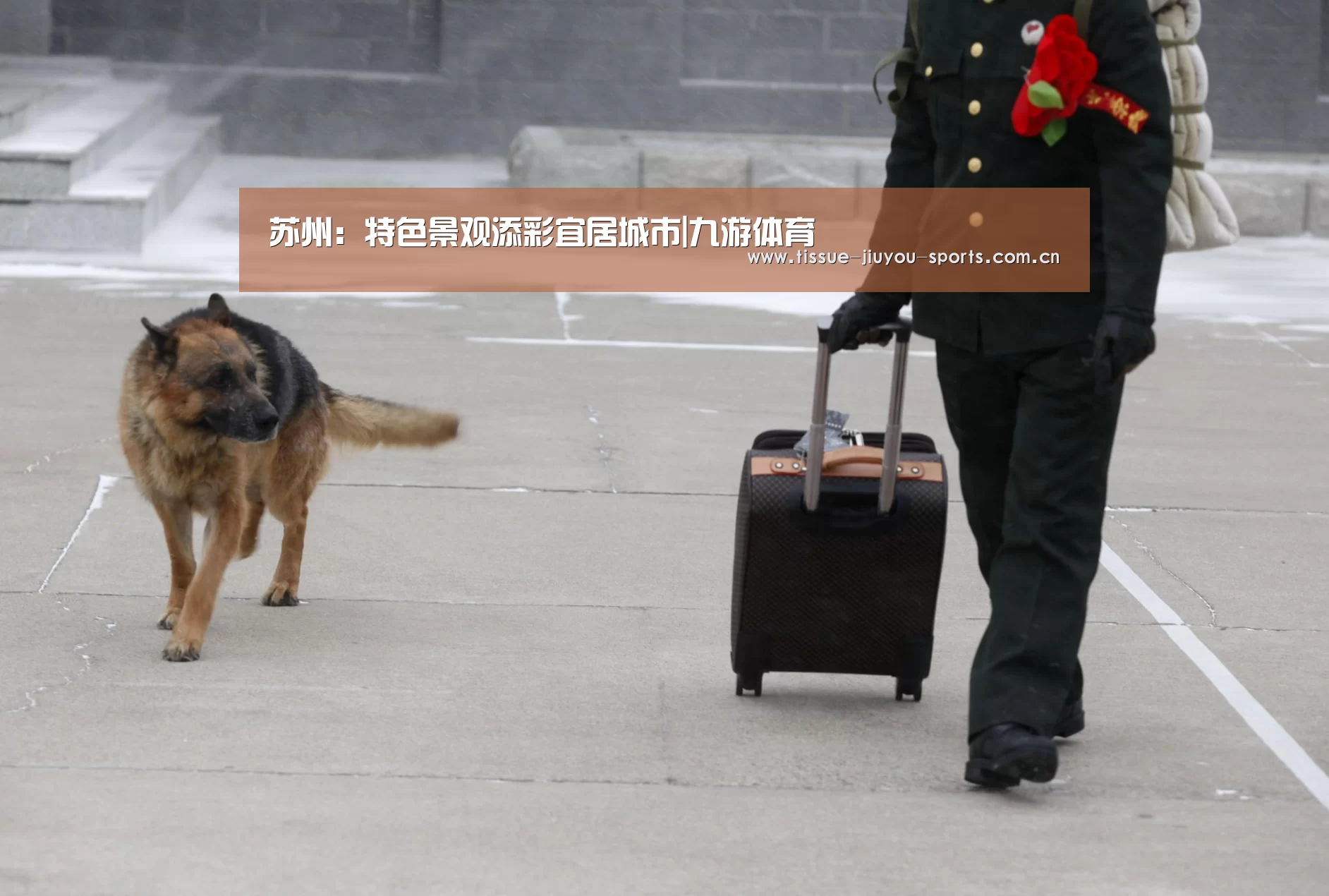 苏州:特色景观添彩宜居城市|九游体育(图2) 九游体育