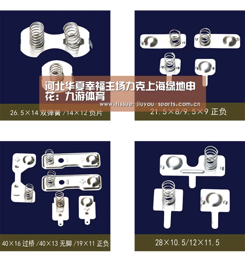 河北华夏幸福主场力克上海绿地申花:九游体育(图2) 九游体育