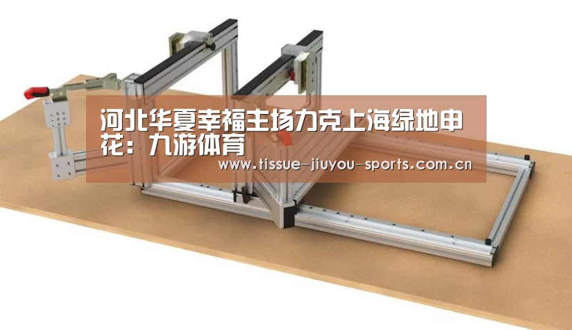 河北华夏幸福主场力克上海绿地申花:九游体育(图3) 九游体育