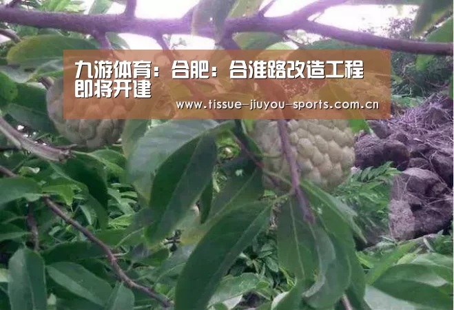 九游体育:合肥:合淮路改造工程即将开建(图3) 九游体育